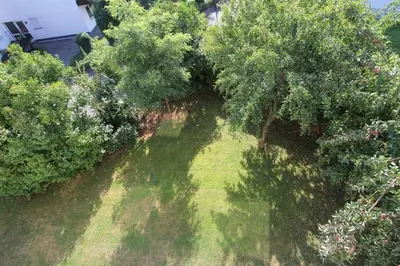 Ein Garten an der Unterkunft Ferienhaus Raue
