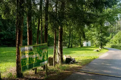 Ein Garten an der Unterkunft Camping Bockenauer Schweiz