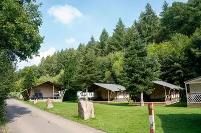 Ein Garten an der Unterkunft Camping Bockenauer Schweiz