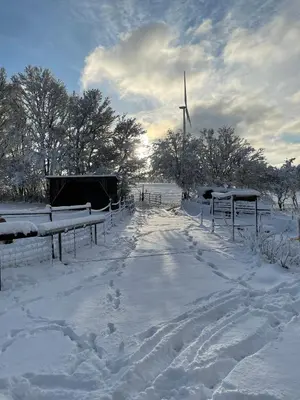 Petryhof im Winter