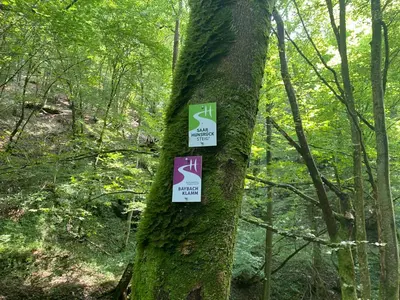 Naturlandschaft in der Nähe der Pension