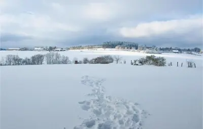 Ferienhaus 1 Wolfschlucht im Winter
