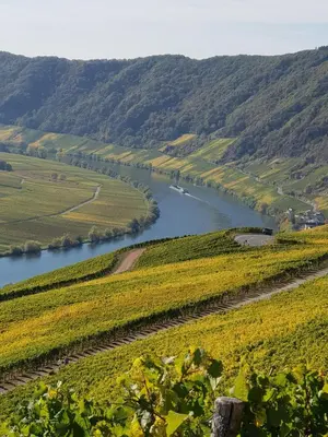 Naturlandschaft in der Nähe der Ferienwohnung