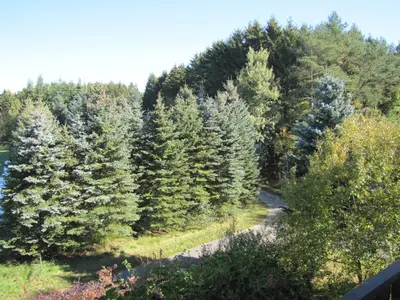 Naturlandschaft in der Nähe der Pension