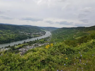 Naturlandschaft in der Nähe der Ferienwohnung