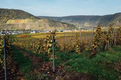 Naturlandschaft in der Nähe des Hotels
