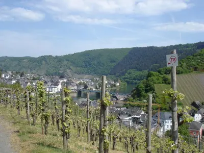 Naturlandschaft in der Nähe der Ferienwohnung