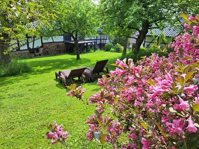 Ein Garten an der Unterkunft Landhaus am Aremberg / Eifel
