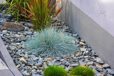 Ein Garten an der Unterkunft Haus Sybille