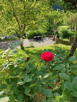 Ein Garten an der Unterkunft Moselina Gästezimmer