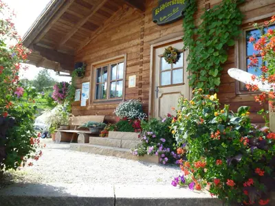 Ein Garten an der Unterkunft Blockhaus-Ferienpark