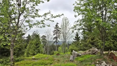 Naturlandschaft in der Nähe der Ferienwohnung