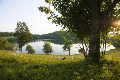 Naturlandschaft in der Nähe des Ferienhauses