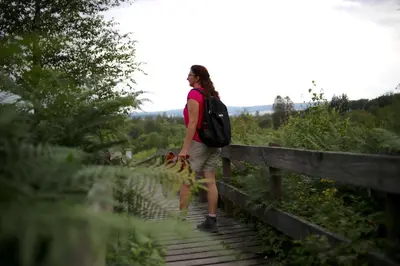 Naturlandschaft in der Nähe der Ferienwohnung