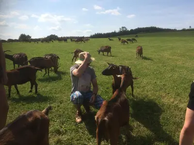 Tiere in der Ferienwohnung oder in der Nähe