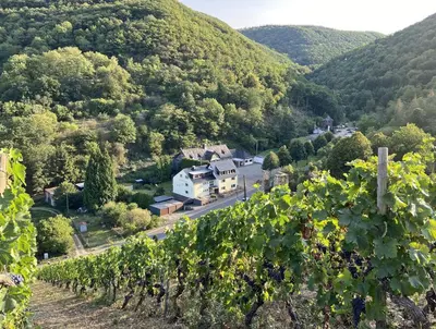 Naturlandschaft in der Nähe der Ferienwohnung