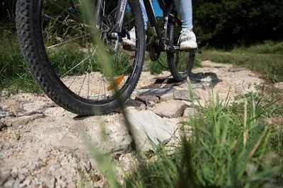 Radfahren an der Unterkunft Harfenmühle Camping oder in der Nähe