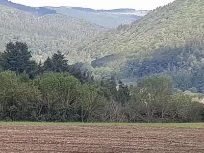 Naturlandschaft in der Nähe der Ferienwohnung