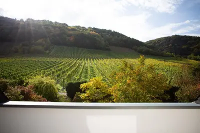 Naturlandschaft in der Nähe der Ferienwohnung