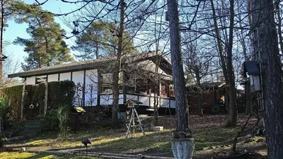 Ein Garten an der Unterkunft Ferienhaus EifelPur