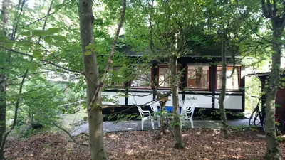 Ein Garten an der Unterkunft Ferienhaus EifelPur