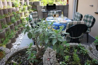 Ein Garten an der Unterkunft Ferienhaus Trimmisch