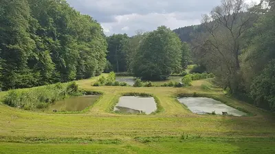 Naturlandschaft in der Nähe der Ferienwohnung