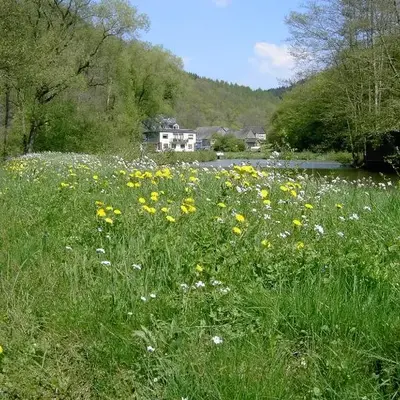 Pulgersmühle