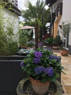 Ein Garten an der Unterkunft Gaestehaus Klaus