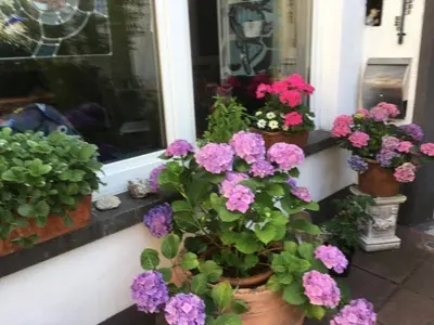 Ein Garten an der Unterkunft Gaestehaus Klaus