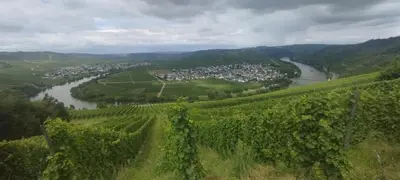 Naturlandschaft in der Nähe der Ferienwohnung