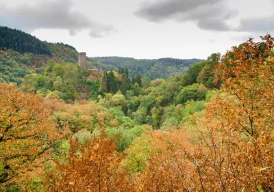 Naturlandschaft in der Nähe des Ferienhauses