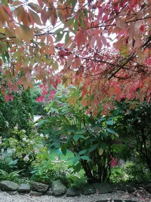Ein Garten an der Unterkunft Gästezimmer Am Hüstert