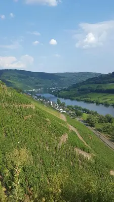 Naturlandschaft in der Nähe des Ferienhauses