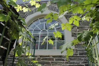 Ein Garten an der Unterkunft 'Ferienhaus Mosel' mit kostenfreien ÖPNV-Ticket