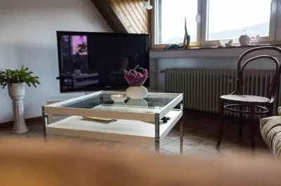 TV/Unterhaltungsangebot in der Unterkunft Moderne 70 qm Wohnung mit großer Dachterrasse
