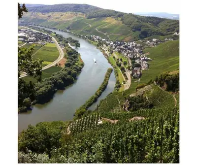 Naturlandschaft in der Nähe des Ferienhauses