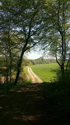 Naturlandschaft in der Nähe des Hotels
