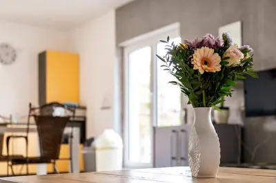 TV/Unterhaltungsangebot in der Unterkunft Eifel-Apartments Orsfeld - Apartments mit Tieren & Natur
