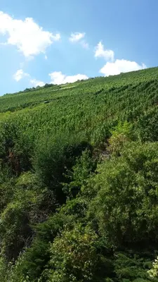 Naturlandschaft in der Nähe der Pension