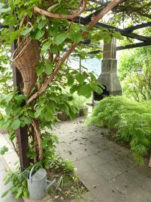 Ein Garten an der Unterkunft FeWo Batek