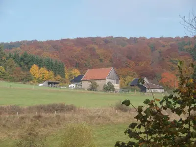Naturlandschaft in der Nähe des Ferienhauses