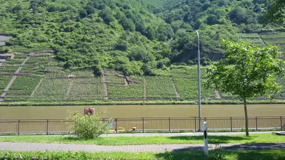 Naturlandschaft in der Nähe des Gasthauses