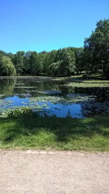 Naturlandschaft in der Nähe der Ferienwohnung