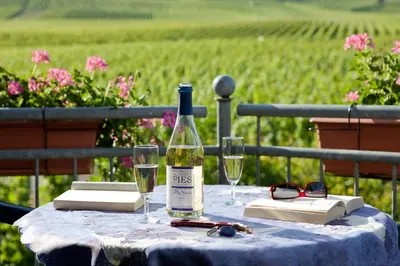 Getränke in der Unterkunft Ferienweingut Pies Ellenz-Poltersdorf