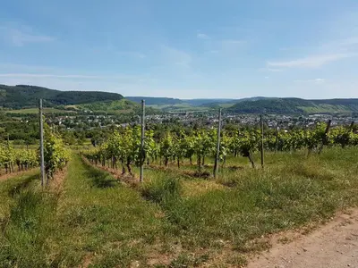 Naturlandschaft in der Nähe der Ferienwohnung