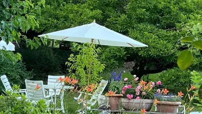 Ein Garten an der Unterkunft Villa zur Erholung Bed & Breakfast