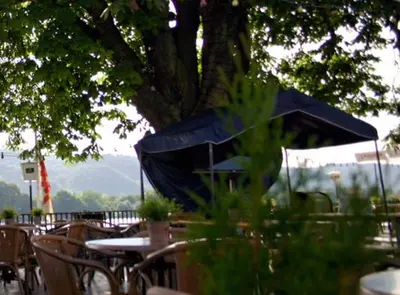 Ein Garten an der Unterkunft Hotel Zur Kripp