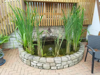 Ein Garten an der Unterkunft FeWo Schwalbennest