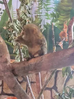Tiere in der Ferienwohnung oder in der Nähe
